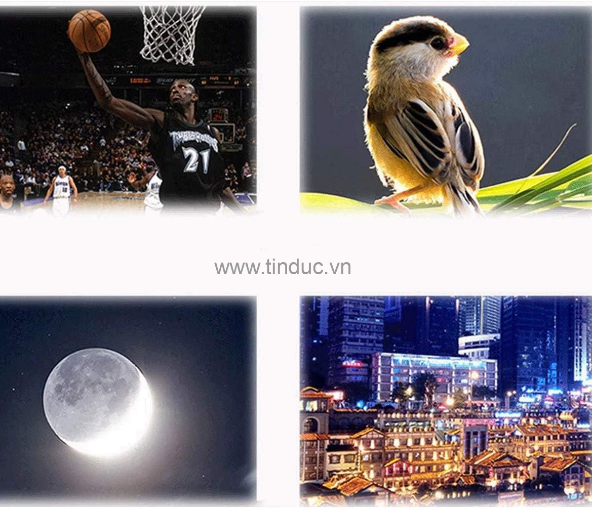 Ống nhòm một mắt siêu nét gấp gọn TERINO BA-50CB (25X50mm, lăng kính BAK4, chống nước, HD, màu đen) - Hàng chính hãng