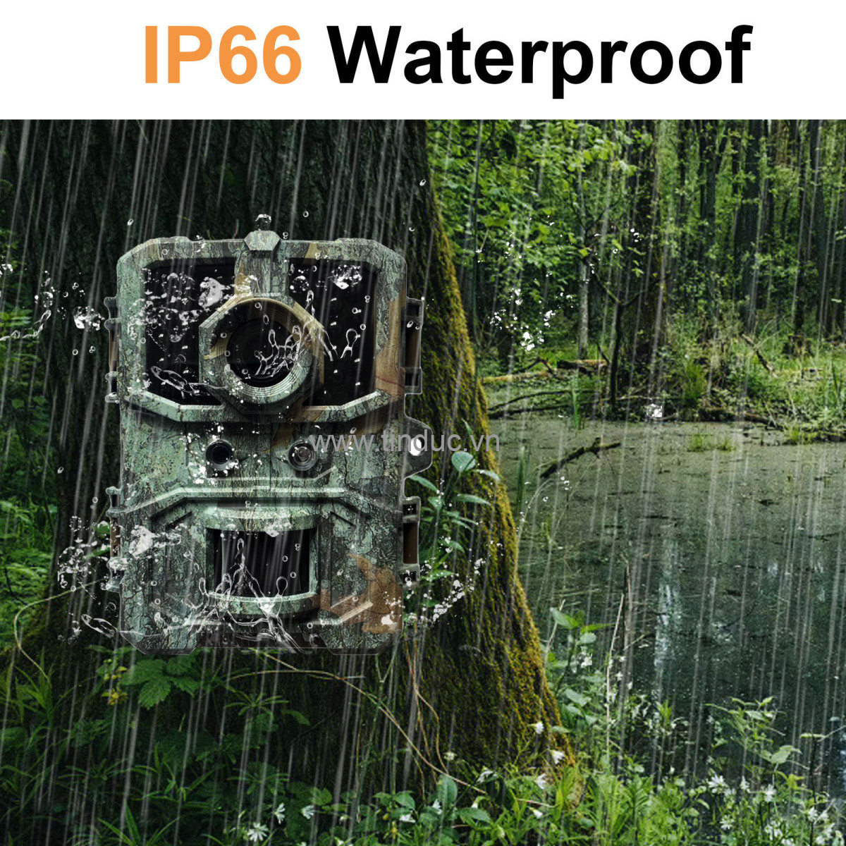 Máy bẫy ảnh Terino CAM-4K (Video 4K, gắn hồng ngoại không phát hiện, màu vàng) - Hàng chính hãng