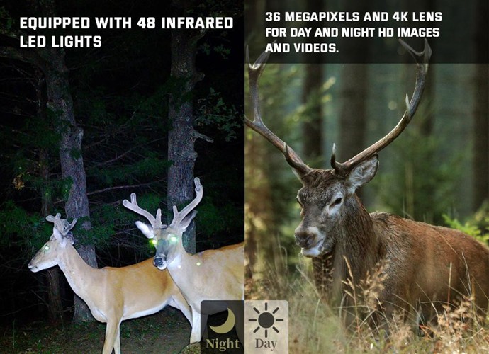 Máy bẫy ảnh Terino RD36W-4K (quay, chụp ảnh ban đêm có màu,36 MP, video 4K, chống nước IP67,cảm biến PIR siêu nhạy) - Hàng chính hãng