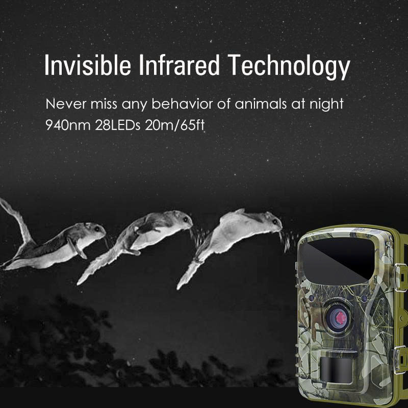 Máy bẫy ảnh Terino RT48-4K (48 MP, Video 4K, Xem hình ảnh trên LCD, IP66) - Hàng chính hãng