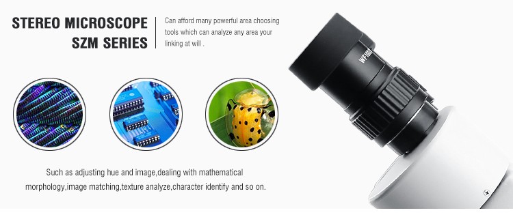 Kính hiển vi tích hợp camera Terino SMD-90XHD (Phóng đại 3.5x-90X)