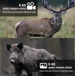 Máy bẫy ảnh Terino RD36W-4K (quay, chụp ảnh ban đêm có màu,36 MP, video 4K, chống nước IP67,cảm biến PIR siêu nhạy) - Hàng chính hãng