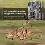 Máy bẫy ảnh Terino T680 (48 MP, Video 4K, Xem hình ảnh trên LCD, IP66) - Hàng chính hãng